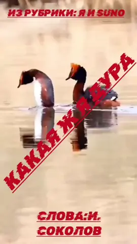 #хочуврекомендации #песнидлядуши #любовь❤ #счастье #suno 