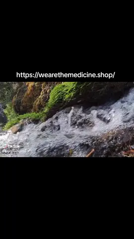 https://wearethemedicine.shop/