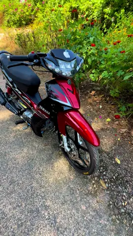 Tàn theo năm tháng rùi#siriusđộkiểng #siriusdokieng #xeđộkiểng #xuhuongtiktok2025 #xuhuongtiktok 