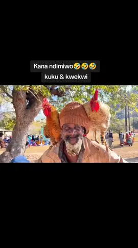 #zimtiktokers🇿🇼🇿🇼🇿🇼 #zimsatiktokers🇿🇼🇿🇼🇿🇦🇿🇦tiktokers🇿🇼 #zimbabwetiktok🇿🇼🇿🇼🇿🇼🇿🇼zimbabweans #zimuk🇬🇧🇿🇼tiktok #zimtrending🇿🇼🇿🇼 