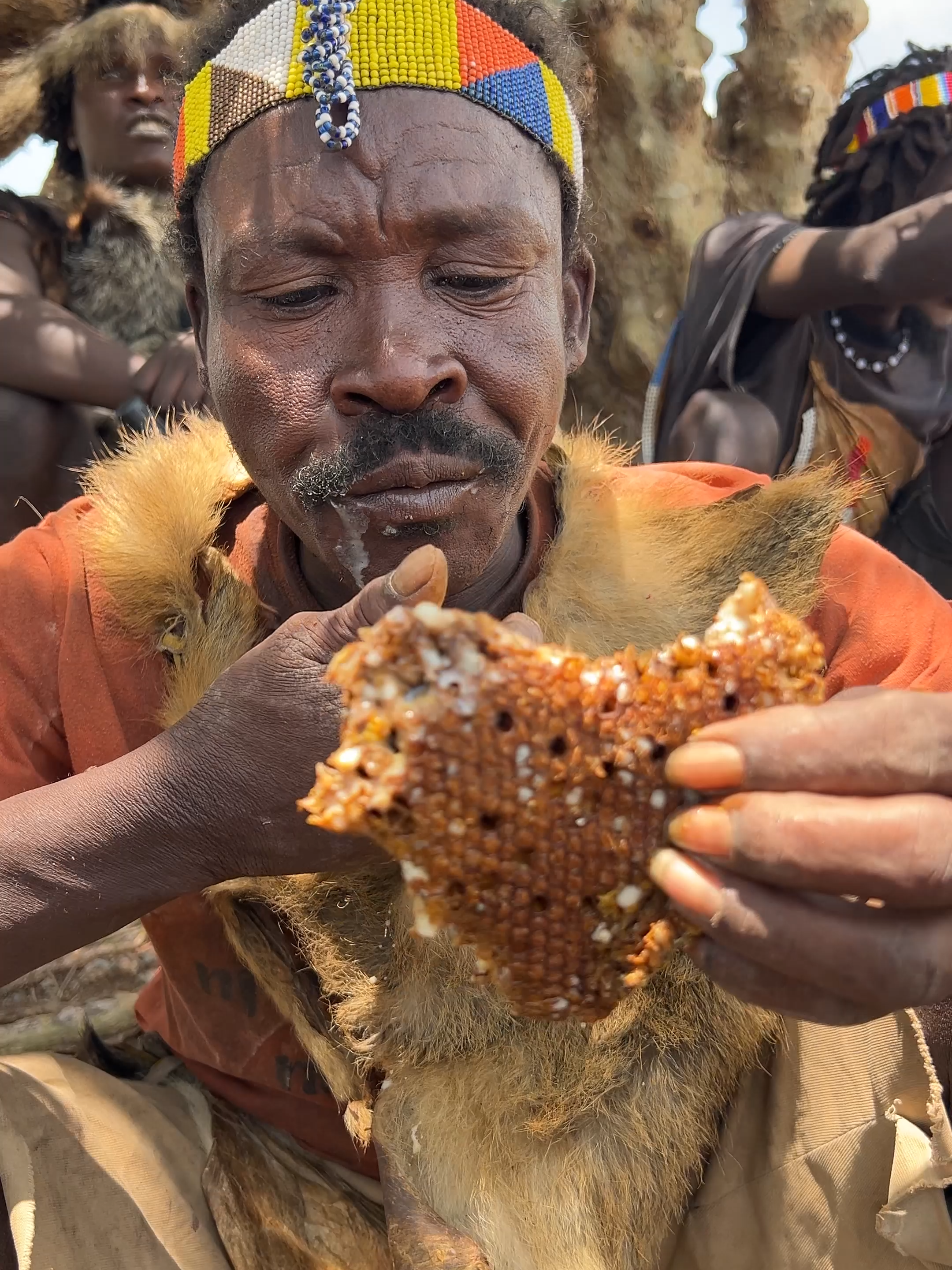Hadzabe Man eating nature sweet honey#tribe #africa #hadzabetribe #tanzania