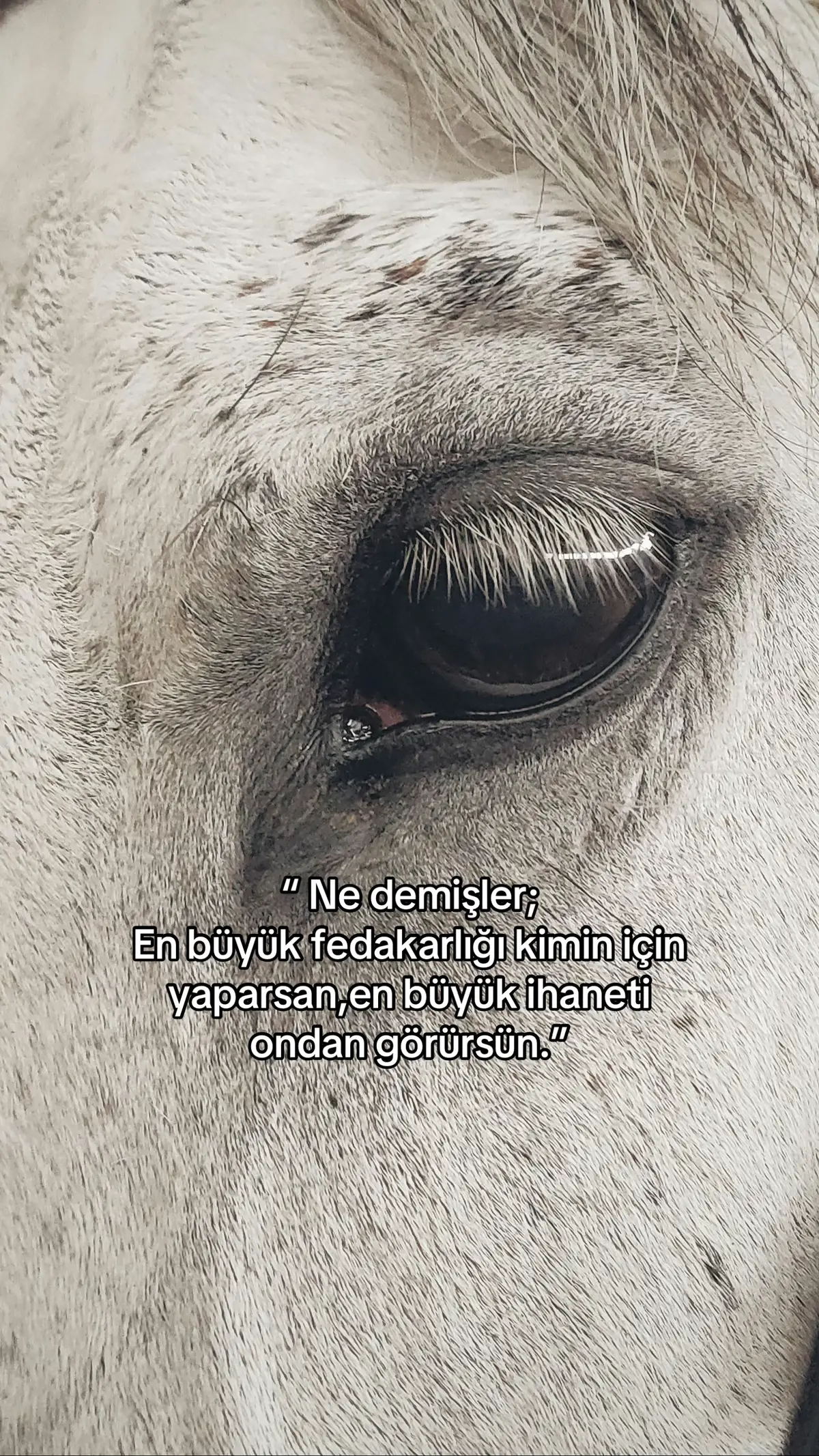 #keşfet #fyp 