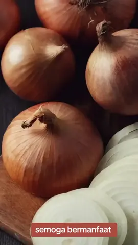 manfaat bawang Bombay #infokesehatan 