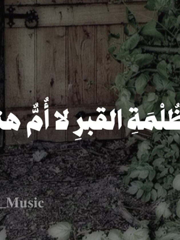 في ظلمة القبر لا ام هناك 🤎😥 #اناشيد #بدون_موسيقى #fyp  #في_ظلمة_القبر_لا_ام_هناك_ولا_اب_شفيق #محمد_ماهر_شاهين 