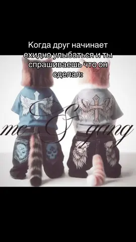 #мем #друг #репост #recommendations #fyp 