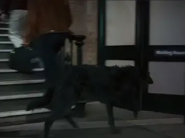 #SIRIUSBLACK || Guys I’m so sorry, I’ll hold your hand || omg guys thank y’all so much I never thought this would blow up (kinda😝) || #harrypotter #marauder #samia #sirius 