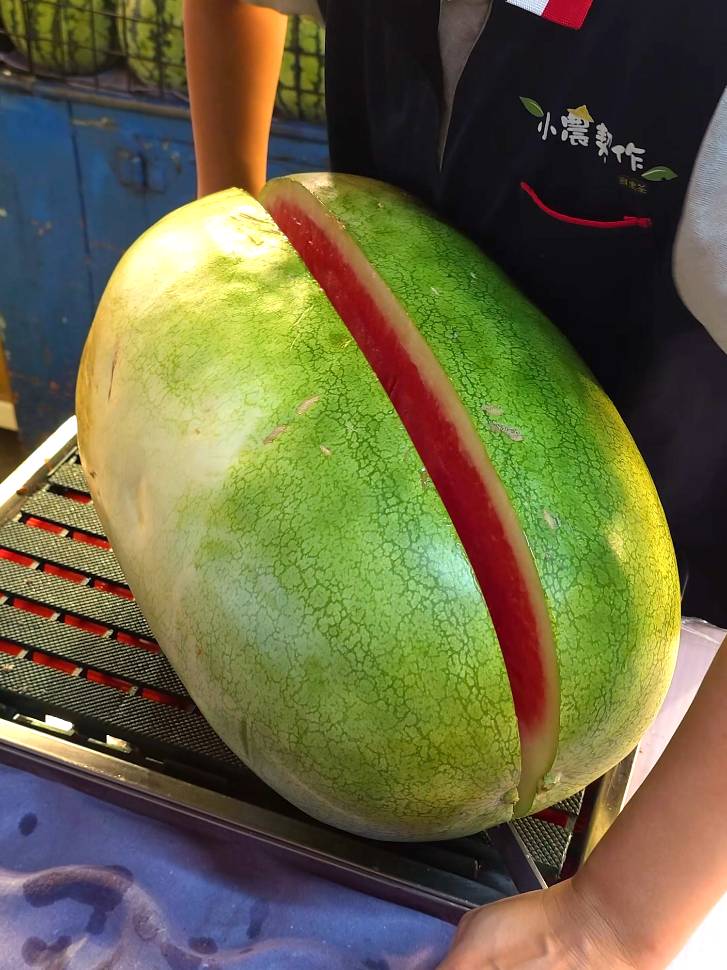 대만에만 있는 신기한 대왕 수박 -  Giant Fruit!! Amazing Giant Watermelon Found Only in Taiwan - Taiwanese Street Food    #대만 #길거리음식 #수박 #fooding #tiktokfood #foodtiktok #streetfood #fruit #cuttingskills