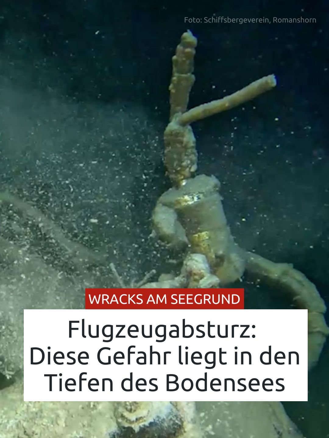 🌊🕵️‍♂️ Tief unten im Bodensee schlummern Wracks, Relikte und die dunkle Seite der Geschichte, die besser ungestört bleibt. ⚠️💀 Was Schatzsucher fasziniert, gefährdet Spuren der Vergangenheit und lässt Fachleute alarmiert zurück. 👉 Warum der See kein Abenteuerspielplatz ist, liest du im ganzen Artikel – Link in der Bio! #Bodensee #Unterwassergeheimnisse #Archäologie #Schatzsuche #Geschichte