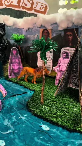 Homo Phase Diorama