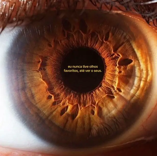 #browneyes #olhoscastanhos #fyp #mpbbrasil #foryou 