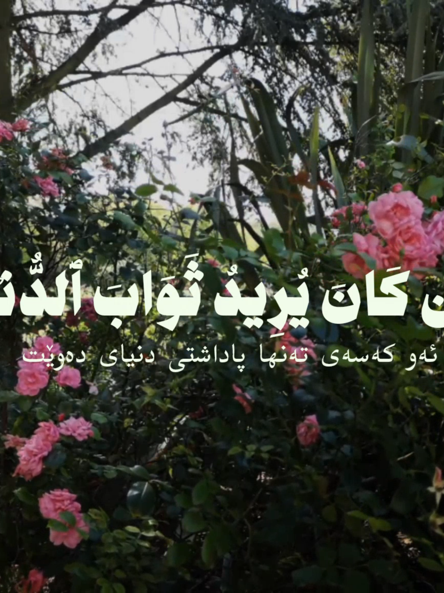 Surah An-Nisa - 134 | Sheikh Ahmad bin Taleb#quran #quranic #quranrecitation #quran_alkarim #quranvideo #quranverses #muslim #muslimtiktok #islamic #islamic_video #قرآن_كريم #قران #تلاوات_قرآنية #kurd #kurdistan