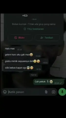 ★ 𝐔𝐒𝐔𝐌 𝐖𝐎𝐍𝐆 𝐌𝐔𝐌𝐄𝐓𝐓 😵‍💫 𝐔𝐒𝐔𝐌 𝐖𝐎𝐍𝐆 𝐑𝐔𝐖𝐖𝐄𝐓𝐓  ★💔 🥀 🥵 🥶 ☠️ 🔥Sampai jumpa di FAKTA Selanjutnya #fypage #trending #viral #foryou #cinta    