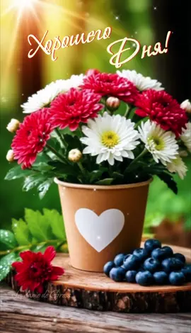 Доброго, хорошего дня! Хорошего настроения, друзья! #хорошегодня #друзья #пятница #recommendations #открыткамаме 