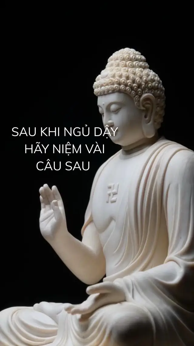 #fyp #phatphapnhiemmau #hocphatmoingay #phatgiao 