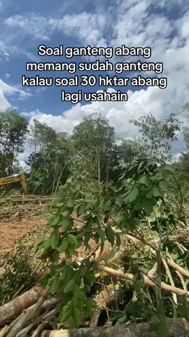 #petaniindonesia🇮🇩🇮🇩🇮🇩🌿🌿 #perintisbukanpewaris #petanisawitindonesia🇮🇩 #kulisawitkalimantan 