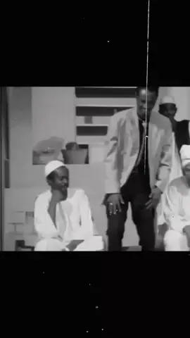 #محمود_عبدالعزيز #سودانيز_تيك_توك_مشاهير_السودان #مجنون_لاليتا🇸🇩 #mahmoud_abdelaziz 