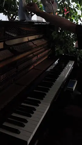 独学でピアノを始めて3年。#piano #ピアノ #独学  #コウを追いかけて #drowninglove 