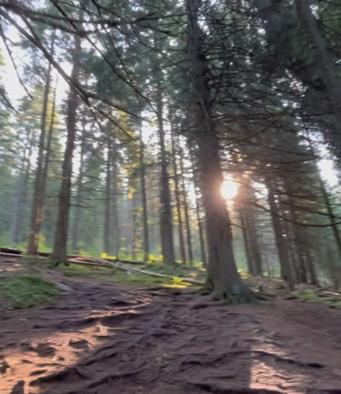 #peace #naturevibes #vibe #nature #fyp #on 