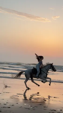 Falcor  #travel #horseoftiktok #horseriding #fyp #explore #marrakech #beach #TravelOnHorseback #trendingvideo #essaouira #holiday #EquestrianTravel #horsesoftiktok 