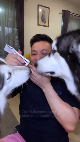 VITAMIN TIME #Petvitamin #vitaminanabul #nutripets #vitaminanjing #vitaminkucing 