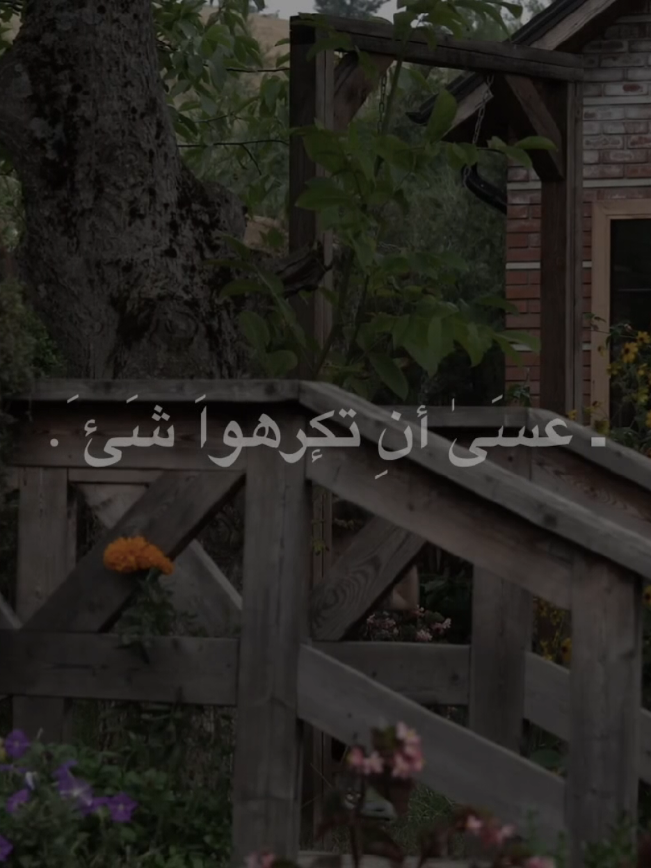 شويَه اصبًر #الشيخ_احمد_الوائلي  #اكسبلورexplore 