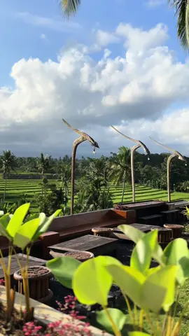 Pagi sampai pagi? Ga bakal bosen disini, semua bisaaa gaesss