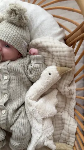 Love of my life 🤎 #cutebabyboy #newbornbaby #newbornoutfit #cutebabyvideos 