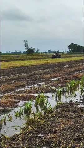 cố lên sắp dc nhậu rồi#xuhuong #kubota 