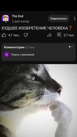 А гдетон не прав? #смехуятина #content #описание #video #real #2025 #photo #58 #youtube #tiktok #elbruso #fyp 