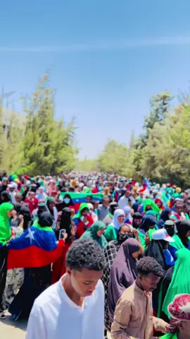 Zhacabkeenu haduu sidaN umidoobi lahaa wlhi gunayzi maynan aragten 😭😭#somali_somaali_baaleh🇸🇴🔥 #ogadeen🇬🇲💖tolkey #jowxo❤️💙💚 