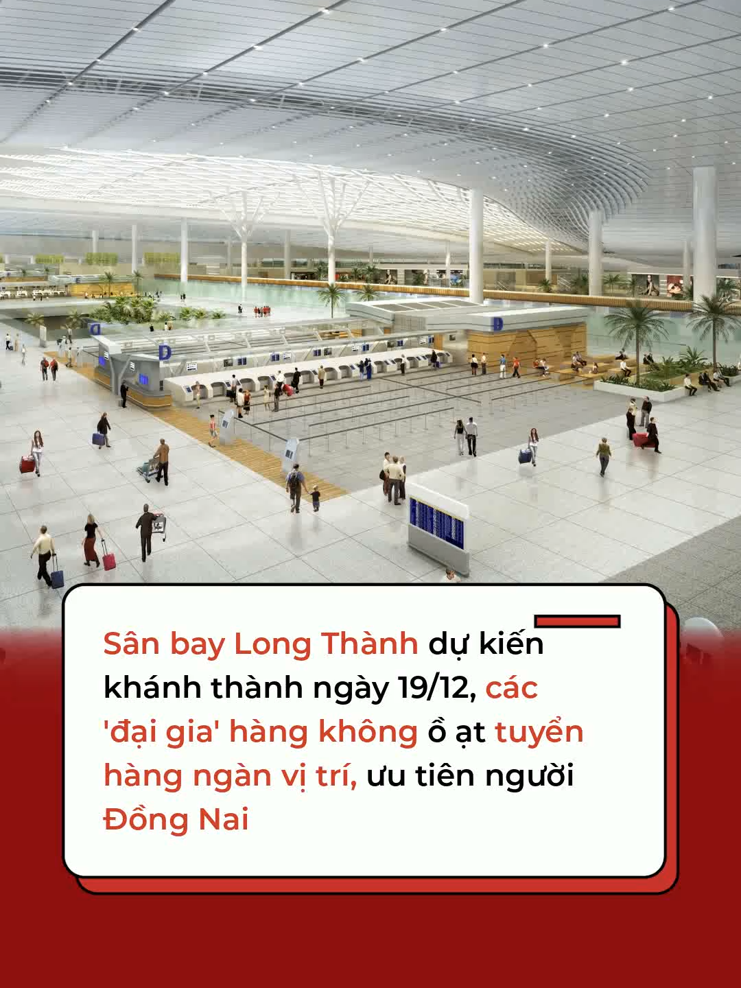 Sân bay Long Thành dự kiến khánh thành vào ngày 19/12, các 'đại gia' hàng không ồ ạt tuyển hàng ngàn vị trí, ưu tiên người Đồng Nai #Cafef #Amm #AI