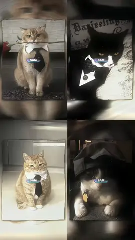 #presetsamm ; Collab berempat nih  [ ᴀᴍ ᴘʀᴇᴍɪᴜᴍ ᴍᴜʀᴄᴇᴋᴋ ʙɪᴏ ]  #preset5mb #presetxml 