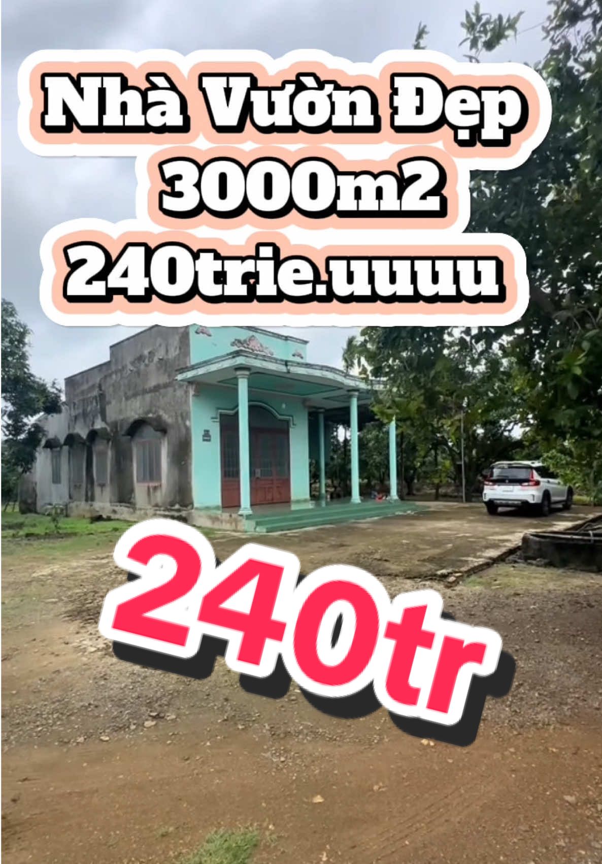 Nhà vườn 240tr siêu đẹp 3000m2 , liên hệ em chốt ngay nhé . #zalo_em_ở_tiểu_sử #datnghiduong #bdssaigon #datdautu #bdsvungven 