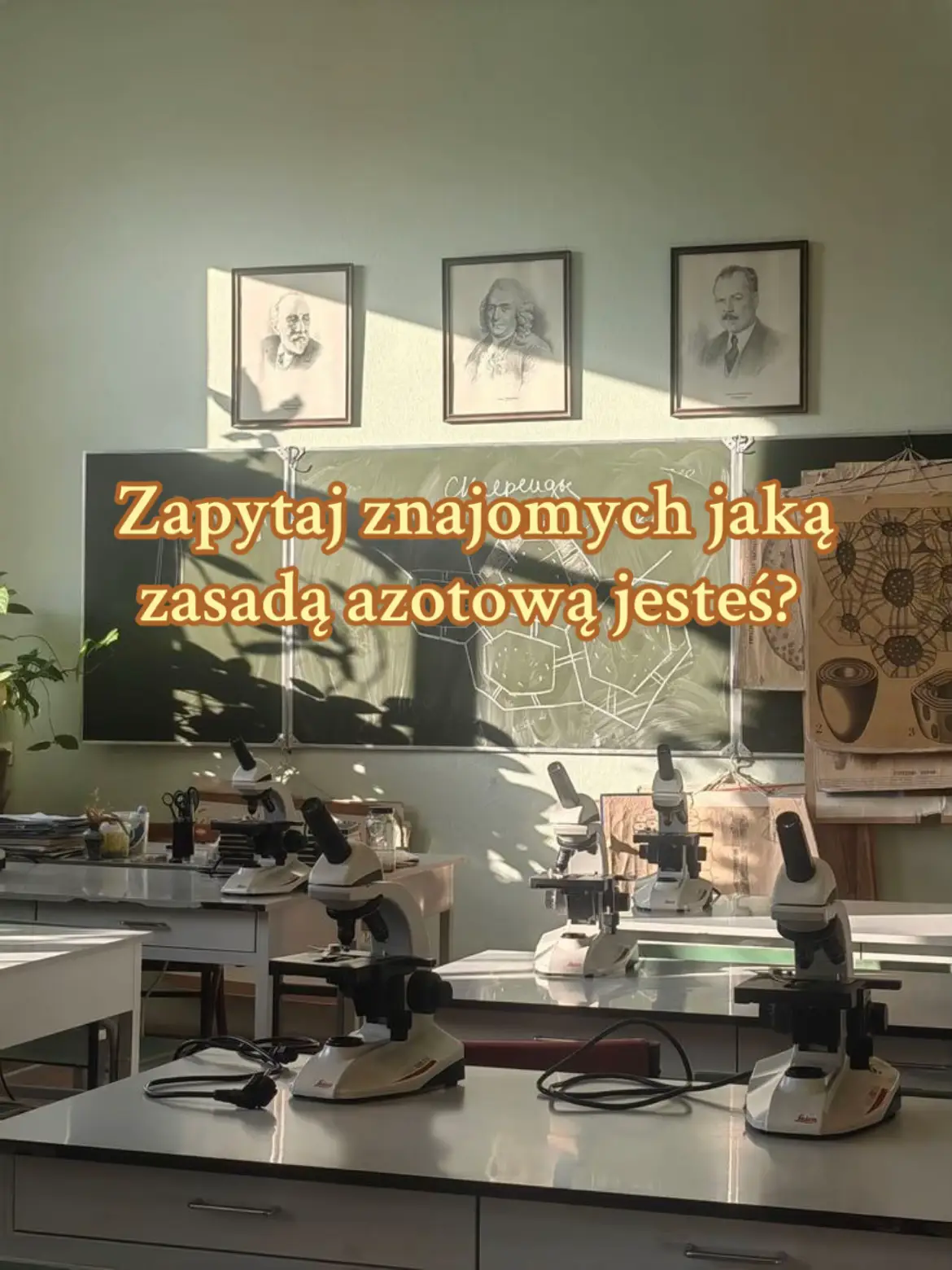 zasady azotowe  #viral #biologia #matura2026 #studymotivaton #aestheticvideos 