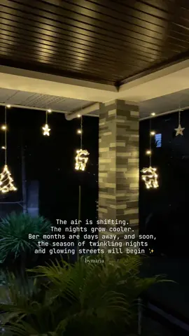 ✨It’s never too early… to feel the Christmas magic 🎄✨ #curtainlights #stringlights #christmaslights #fairylights #christmasdecor 