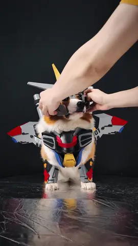 Gundam Cosplay Compilation #gundam #cosplay #corgi #viral #fyp 