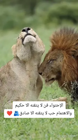 أعتني بمن تحب 