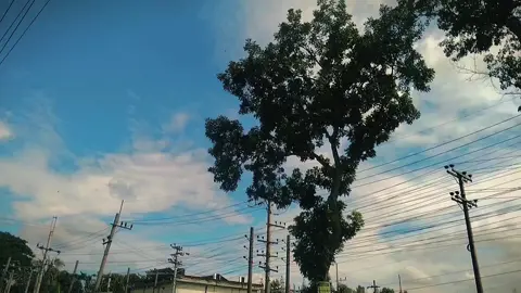 😊🤲.....!! #fyppppppppppppppppppppppp #highlight #foryou #foryoupagereels #millionaire #fyp #views #foryoupage #100kviews #everyone #bagladesh🇧🇩tiktok @For You, all TikTok more see 