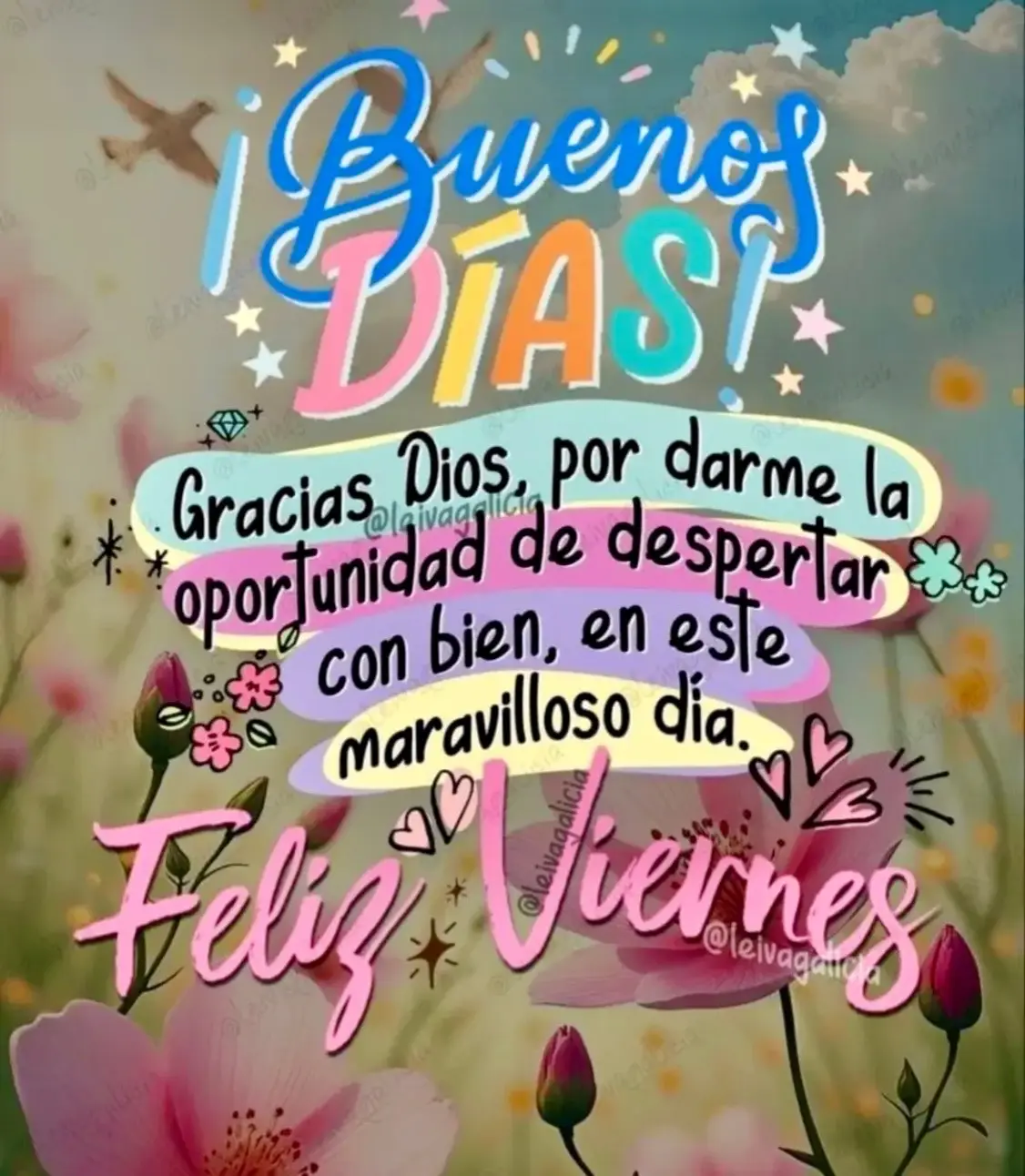 #lluviadebendicionesparatodos☔️🙏🏼 #graciasDiosporundiamasdevida🙏🏼♥️🦋 #graciasadiosportodo✝️🤲🏼 #entusmanosestamosseñormioydiosmio🤲🏼🙌🏼🤝 #condiostodoesposible🙏🏼🦋 