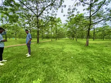 #সুনামগঞ্জ_শিমুল_বাগান📌 #foryou #terding #foryoupage #unfrezzmyaccount #tamim_x_10 #tuba2179 #viralvideo #unfrezzmyaccount @TikTok @TikTok Bangladesh @🔥_KAMRUI_🔥 @@___tamim___vai  @J🪐  