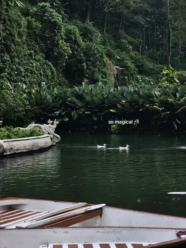 #tamankemesraan #pujon #batu #foryou #fyp 