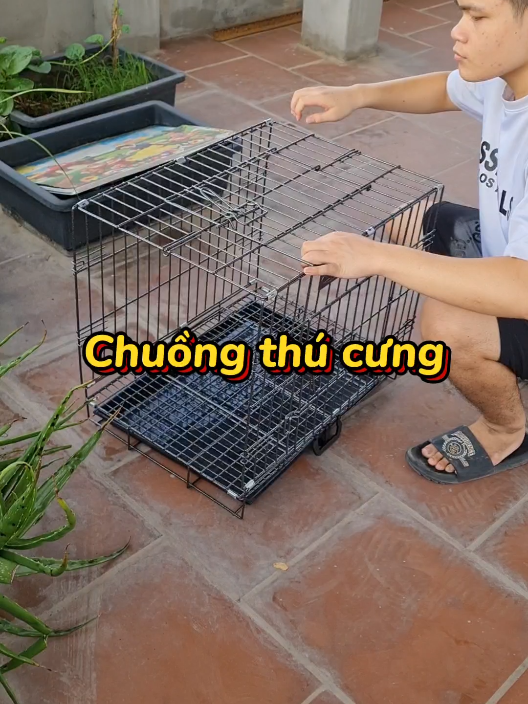 Chuồng chó, chuồng mèo sơn tĩnh điện vân đá gấp gọn đủ kích thước S, M, L, XL
