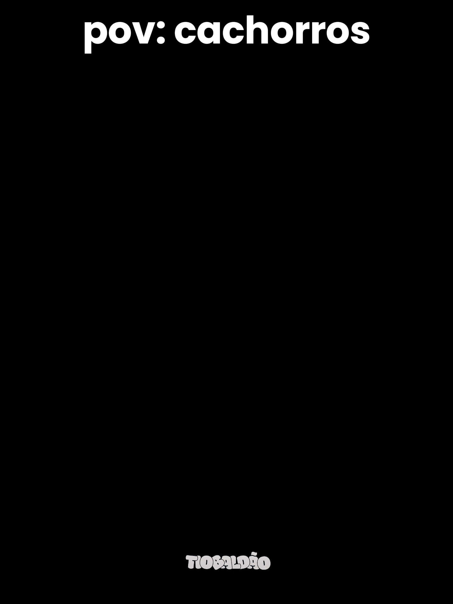 o cachorro ficou todo envergonhado kkk l #engraçado #humor #cachorros