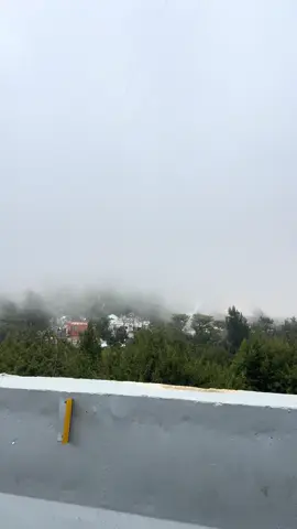 #الباحة #تصويري📷 #اكسبلوررر #غابة_رغدان #السعودية 