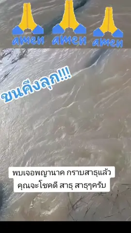 #พญานาค ให้โชคให้ราบ สาธุ สาธุ พรุกนี้ขอให้โชคดี##🙏🙏