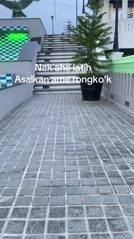 #dayakahekanayant #landakkalbar #sakadarkatakata #fyppppp #semuaorang pokonya kao tanang