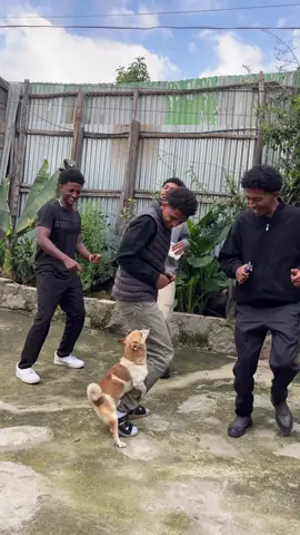 ጉድ እኮ ነዉ😂😭 #ethiopian_tik_tok🇪🇹🇪🇹🇪🇹🇪🇹 #habeshatiktok #ለናንተገፅ #fyp #