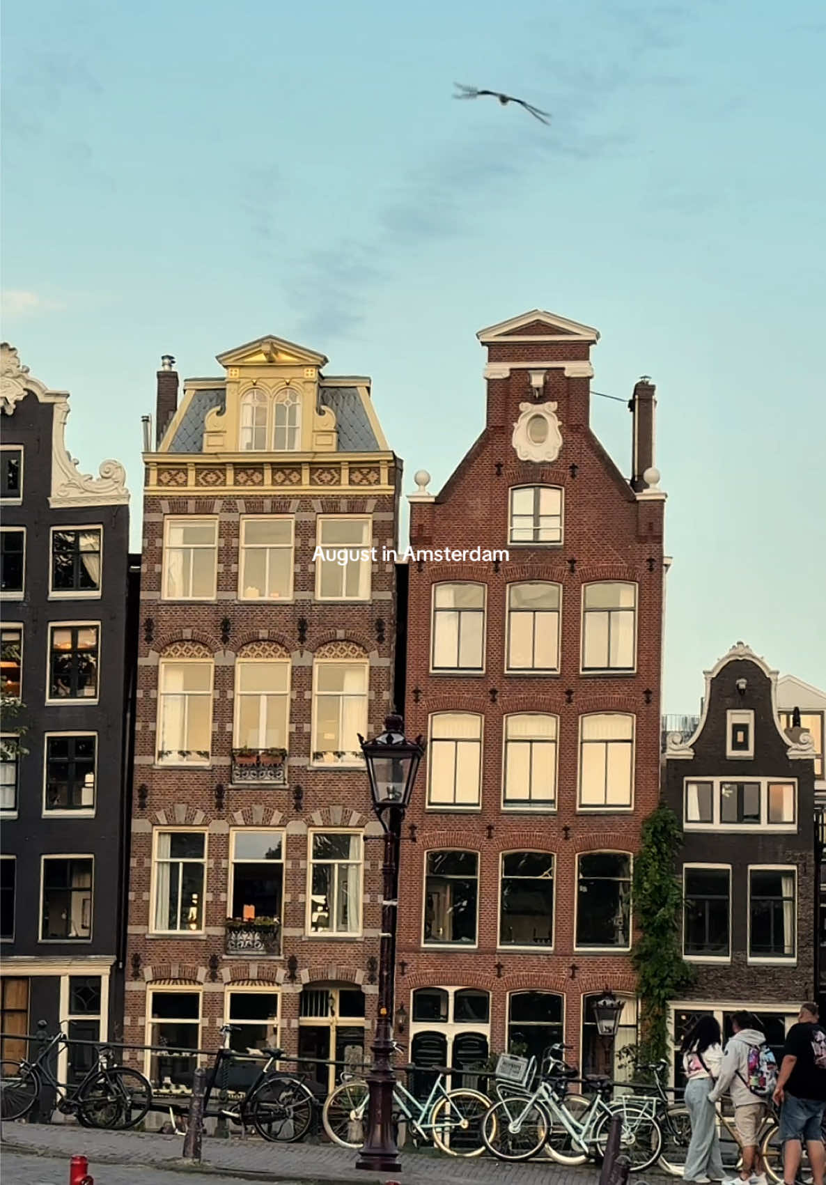 August in Amsterdam                                  #amsterdam #netherlands #august #fyp #foryou 