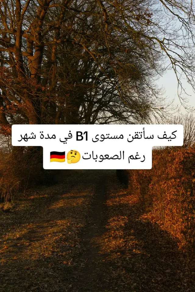 #دروس_ألمانية #ألماني_بسهولة #تعلم_الألمانية #pyf #foryoupage 