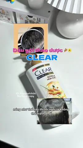 Dầu gội Clear thảo dược gừng & hoa cúc🫚🌼#clear #cleargunghoacuc #daugoithaoduoc #daugoithiennhien #hoptaccungunilever 